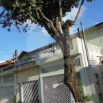 Sobrado à venda com 3 quartos em Tucuruvi, São Paulo, SP