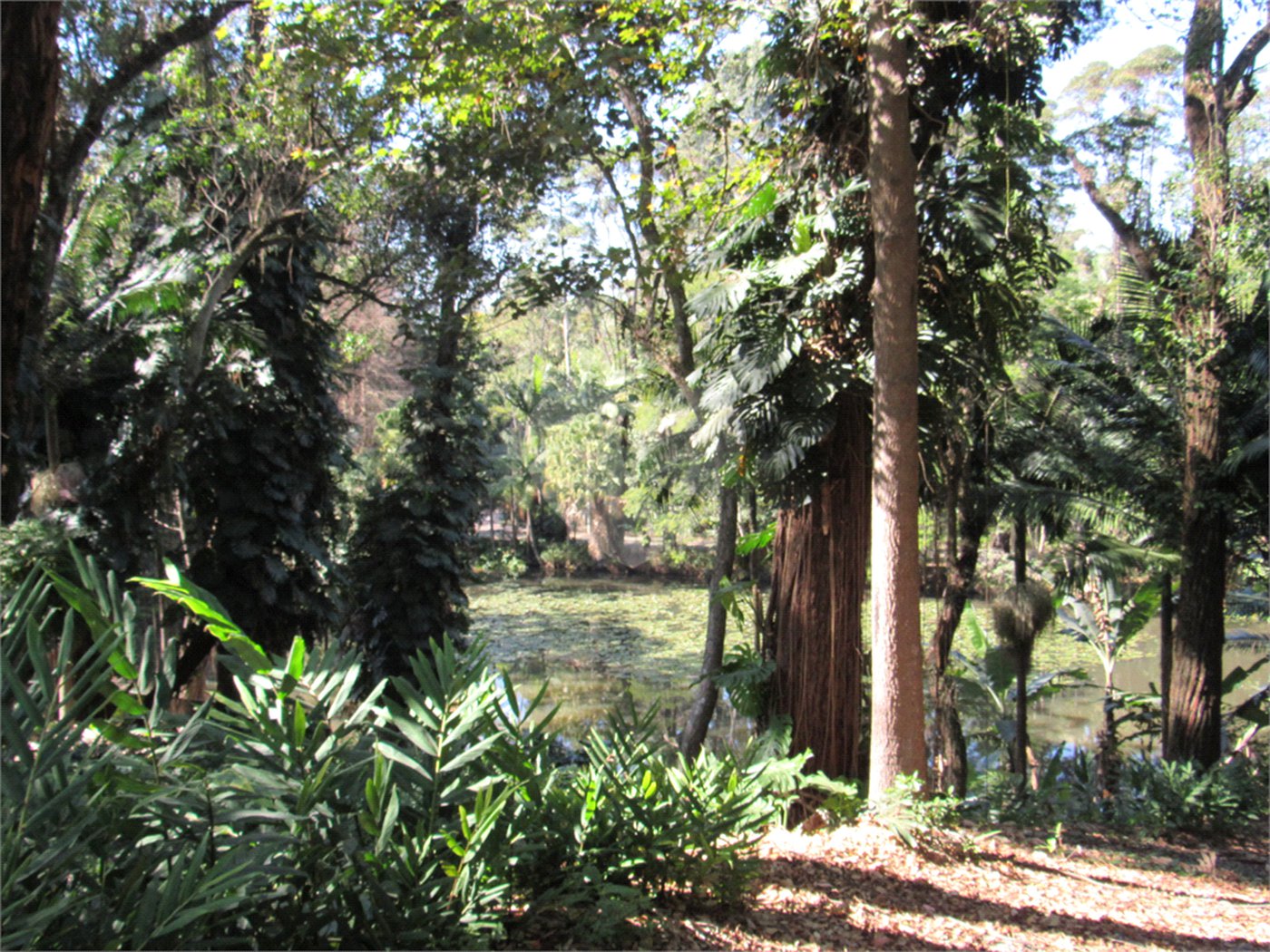 Terreno à venda em Chácara Flora, São Paulo, SP