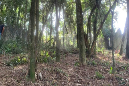 Terreno à venda em Jardim Peri Peri, São Paulo, SP