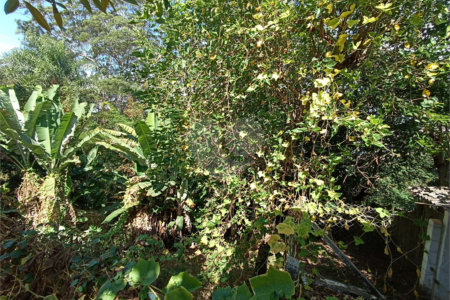 Casa à venda com 5 quartos, sendo 1 suíte, em Jardim Itália, Itapetininga, SP