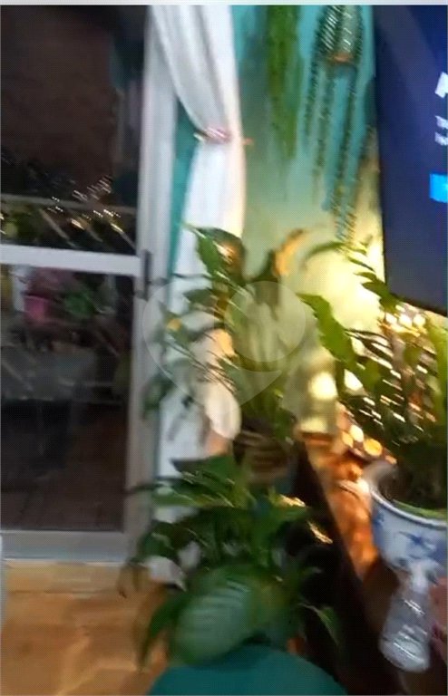 Apartamento à venda com 3 quartos, sendo 1 suíte, em Vila Medeiros, São Paulo, SP