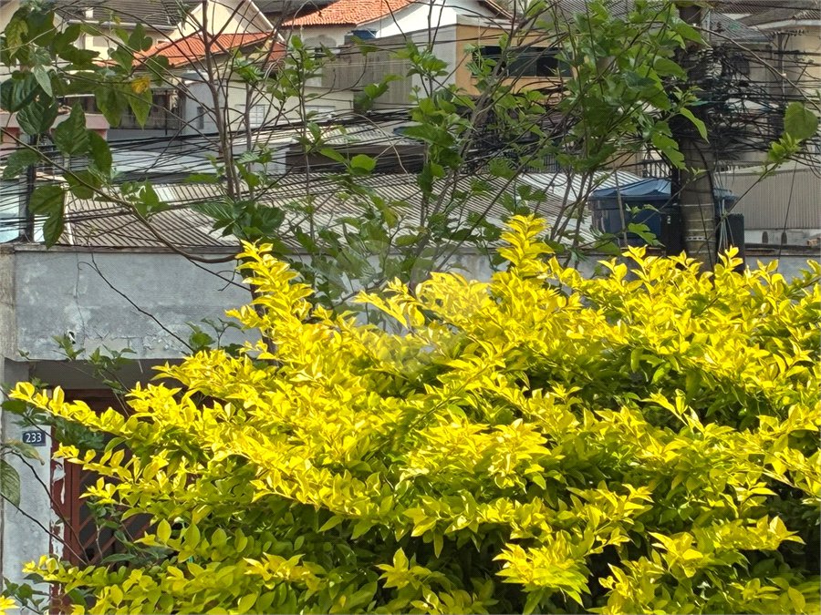 Terreno à venda em Vila Fiuza, Guarulhos, SP