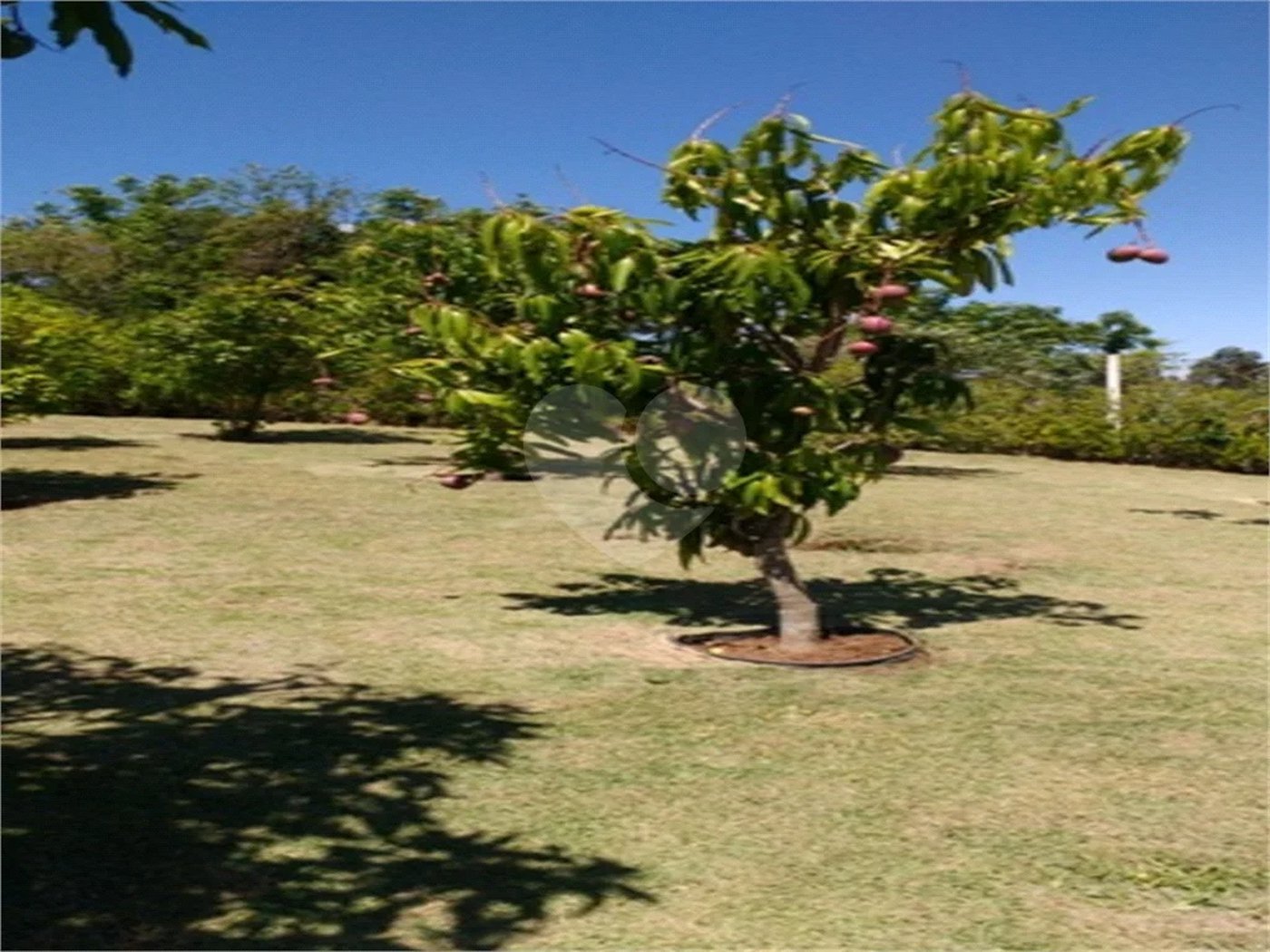 Chácara à venda com 3 suítes em Outeiro das Flores, Itupeva, SP
