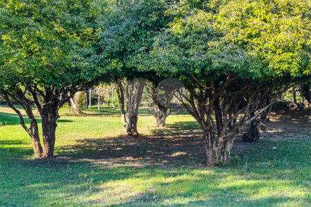 Casa à venda com 6 quartos, sendo 5 suítes,  no condomínio Lagos do Shanadu, Indaiatuba - SP