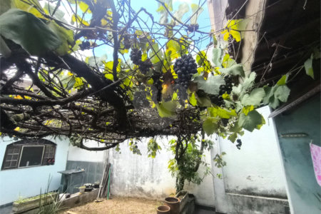 Casa à venda com 5 quartos, sendo 2 suítes, em Jardim Umarizal, São Paulo, SP