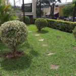 Apartamento à venda com 2 quartos em Jardim Ivana, São Paulo, SP