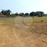 Terreno à venda em Condomínio Quinta da Boa Vista, Ribeirão Preto, SP