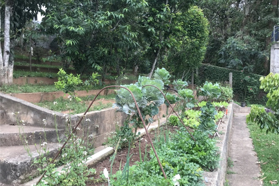 Sobrado à venda com 3 suítes em Serra da Cantareira, Mairiporã, SP