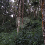 Terreno à venda em Serra da Cantareira, Mairiporã, SP