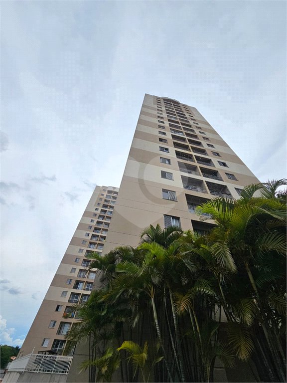 Apartamento à venda com 3 quartos em Vila Constança, São Paulo, SP