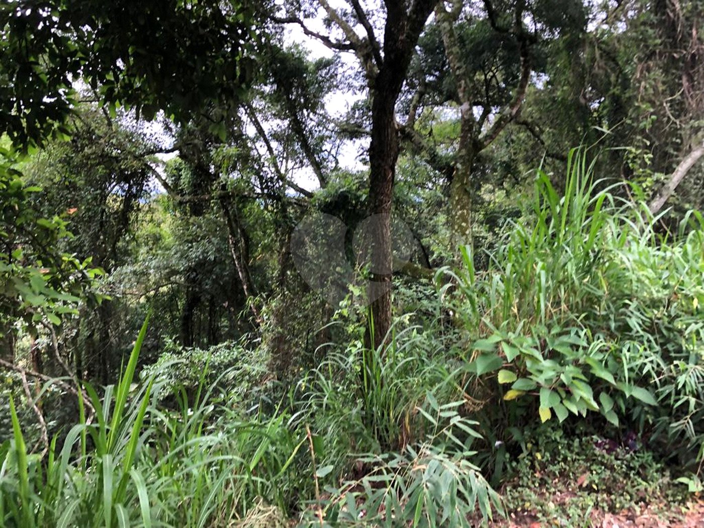 Terreno à venda no condomínio Gleba E2, Mairiporã - SP