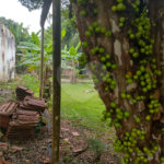 Terreno à venda em Jardim Bela Vista, Guarulhos, SP