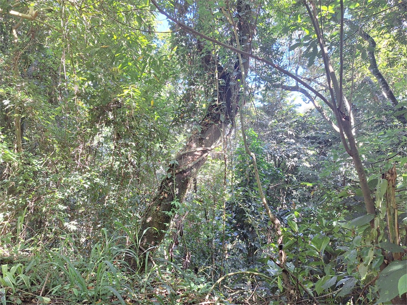Terreno à venda no condomínio Alpes da Cantareira, Mairiporã - SP