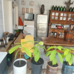 Casa Térrea à venda com 4 quartos, sendo 2 suítes, em Tremembé, São Paulo, SP
