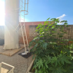 Galpão para alugar em Parque Empresarial das Mangueiras, Sorocaba, SP
