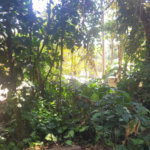 Casa à venda no condomínio Sausalito, Mairiporã - SP
