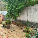 Casa Térrea à venda com 3 quartos, sendo 1 suíte, em Super Quadra Morumbi, São Paulo, SP