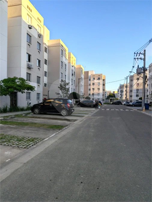 APE NOVINHO EM CACHAMORRA