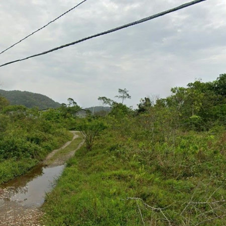 Terreno à venda, 10000 m² por R$ 8.500.000,00 - Cing - Guarujá/SP