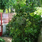 Casa à venda com 3 quartos, sendo 1 suíte, em Tremembé, São Paulo, SP