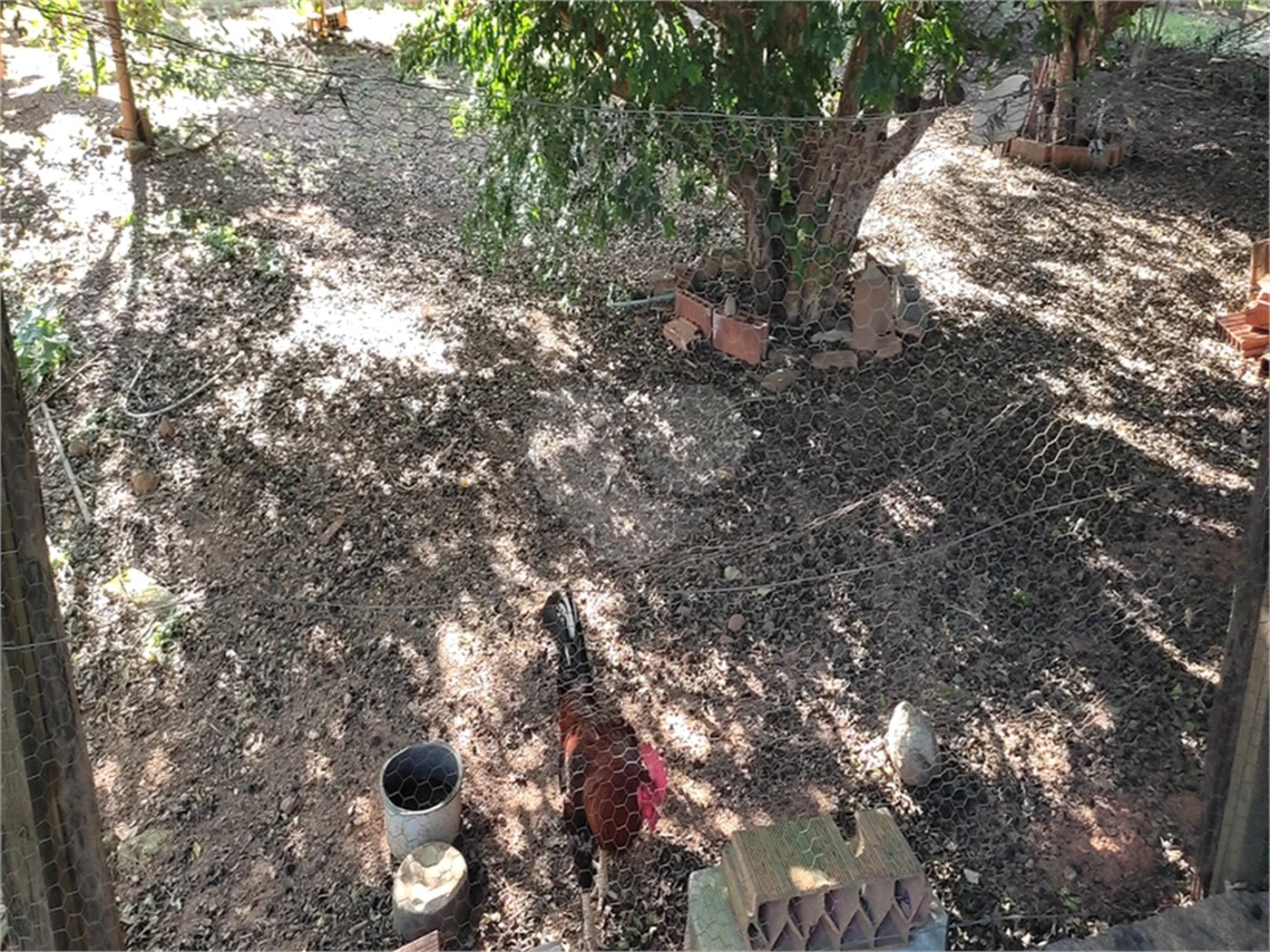 Chácara à venda com 3 quartos, sendo 1 suíte, em Parque das Bandeiras, Indaiatuba, SP