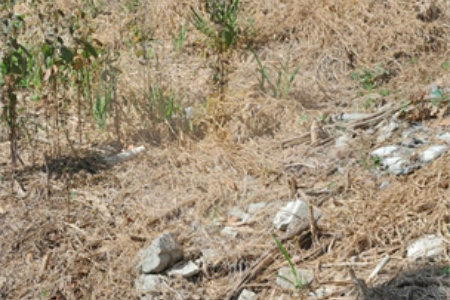 Terreno à venda em Jardim Maristela, Atibaia, SP