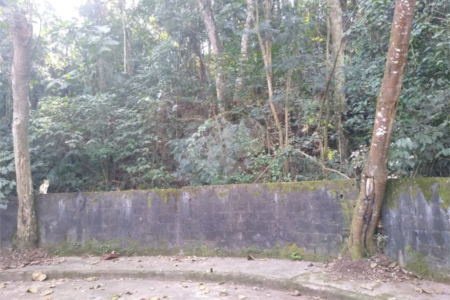 Terreno à venda em Tucuruvi, São Paulo, SP