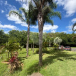 Apartamento à venda com 2 quartos em Bairro da Vossoroca, Sorocaba, SP