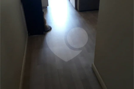 Apartamento à venda com 3 quartos em Tucuruvi, São Paulo, SP