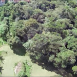 Sítio à venda com 7 quartos, sendo 5 suítes, em Jardim Vinhas do Sol (mailasqui), São Roque, SP