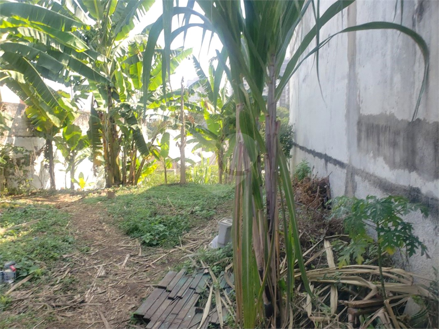 Terreno á venda com 266m ² - Bosque da Saúde