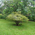 Chácara a venda no Residencial Planalto Serra Verde em Itirapina