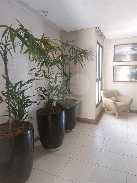 Apartamento à venda com 4 quartos, sendo 3 suítes, em Goiabeira, Cuiabá, MT