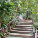 Apartamento à venda com 2 suítes em Parque do Morumbi, São Paulo, SP