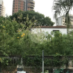 Terreno à venda em Água Fria, São Paulo, SP