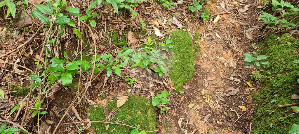 Terreno à venda em Caraguatá, Mairiporã, SP