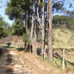 Sítio à venda com 3 quartos em Bairro do Cambará, São Roque, SP