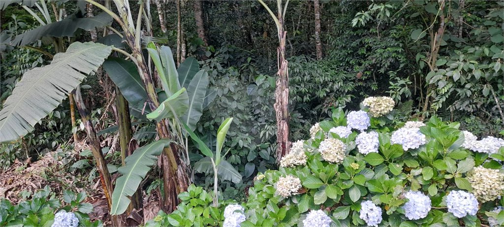 Terreno à venda em Roseira, Mairiporã, SP