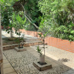 Casa Térrea à venda com 3 quartos, sendo 2 suítes, no Brasilândia, São Paulo, SP