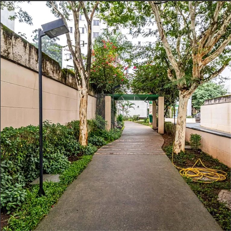 Apartamento à venda com 2 quartos em Jardim Celeste, São Paulo, SP