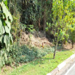 Terreno à venda em Roseira, Mairiporã, SP