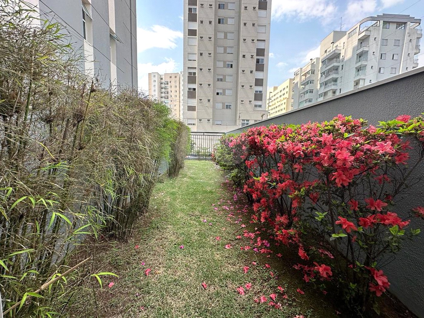 Apartamento à venda com 2 quartos, sendo 1 suíte, em Vila Mazzei, São Paulo, SP