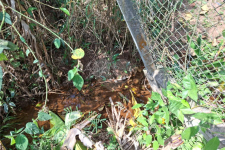 Terreno à venda em Chácara Fernão Dias, Bragança Paulista, SP