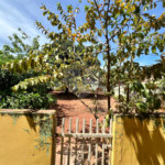 Casa à venda com 3 quartos em Jardim Brasília, Três Lagoas, MS