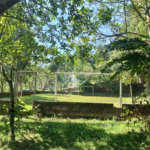Chácara à venda com 7 quartos, sendo 1 suíte, no Centro (mailasqui), São Roque, SP