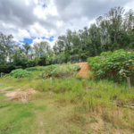 Terreno à venda em Nova Gardênia, Atibaia, SP
