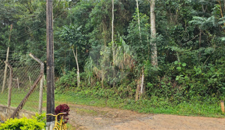 Terreno à venda em Pavão (canguera), São Roque, SP