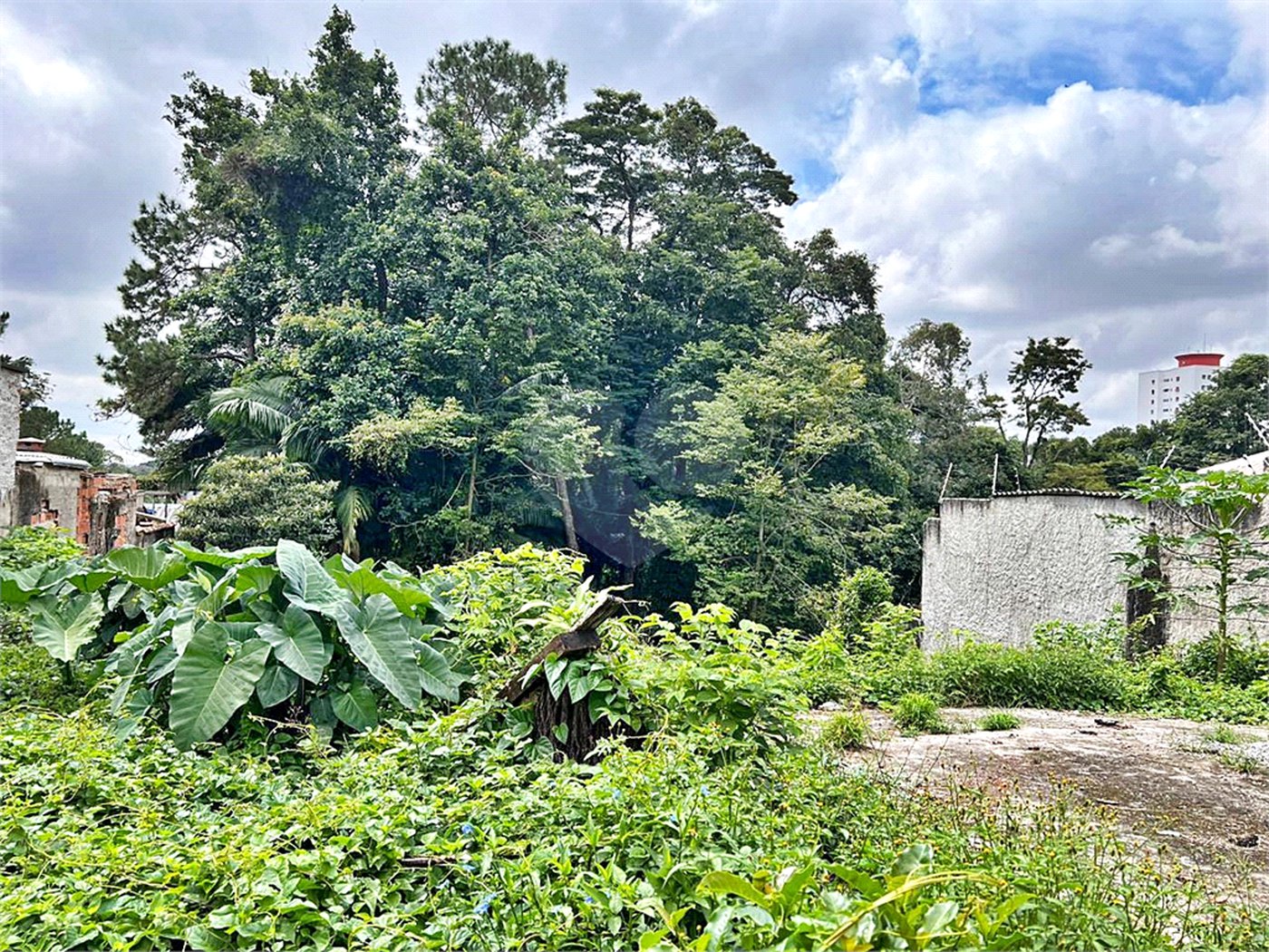 Terreno à venda em Tremembé, São Paulo, SP