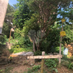 Terreno à venda em Tucuruvi, São Paulo, SP