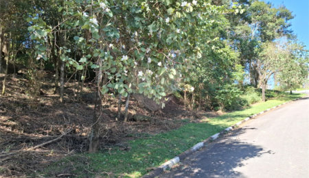 Terreno à venda em Horto, São Paulo, SP